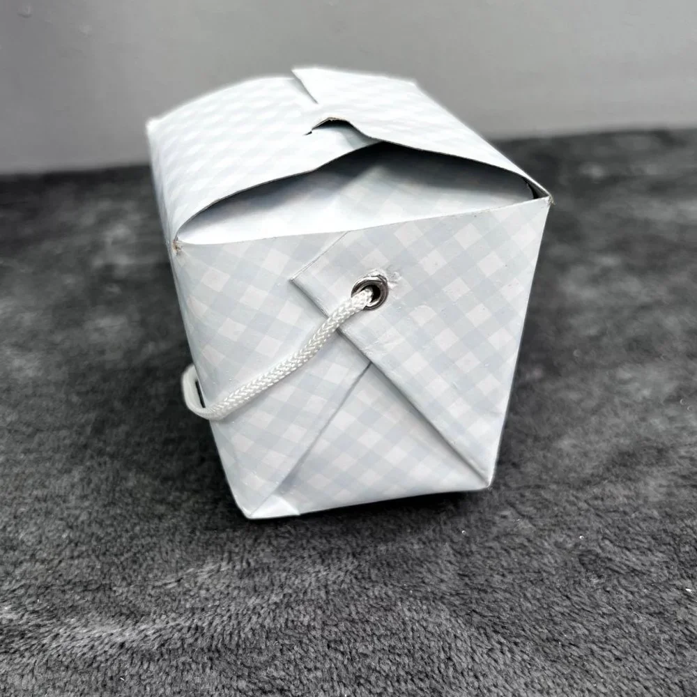 Lot 6 Mini Take Out Boxes Gingham Blue White Check Carrying Handle Gift Goody
